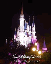 pic for disney world